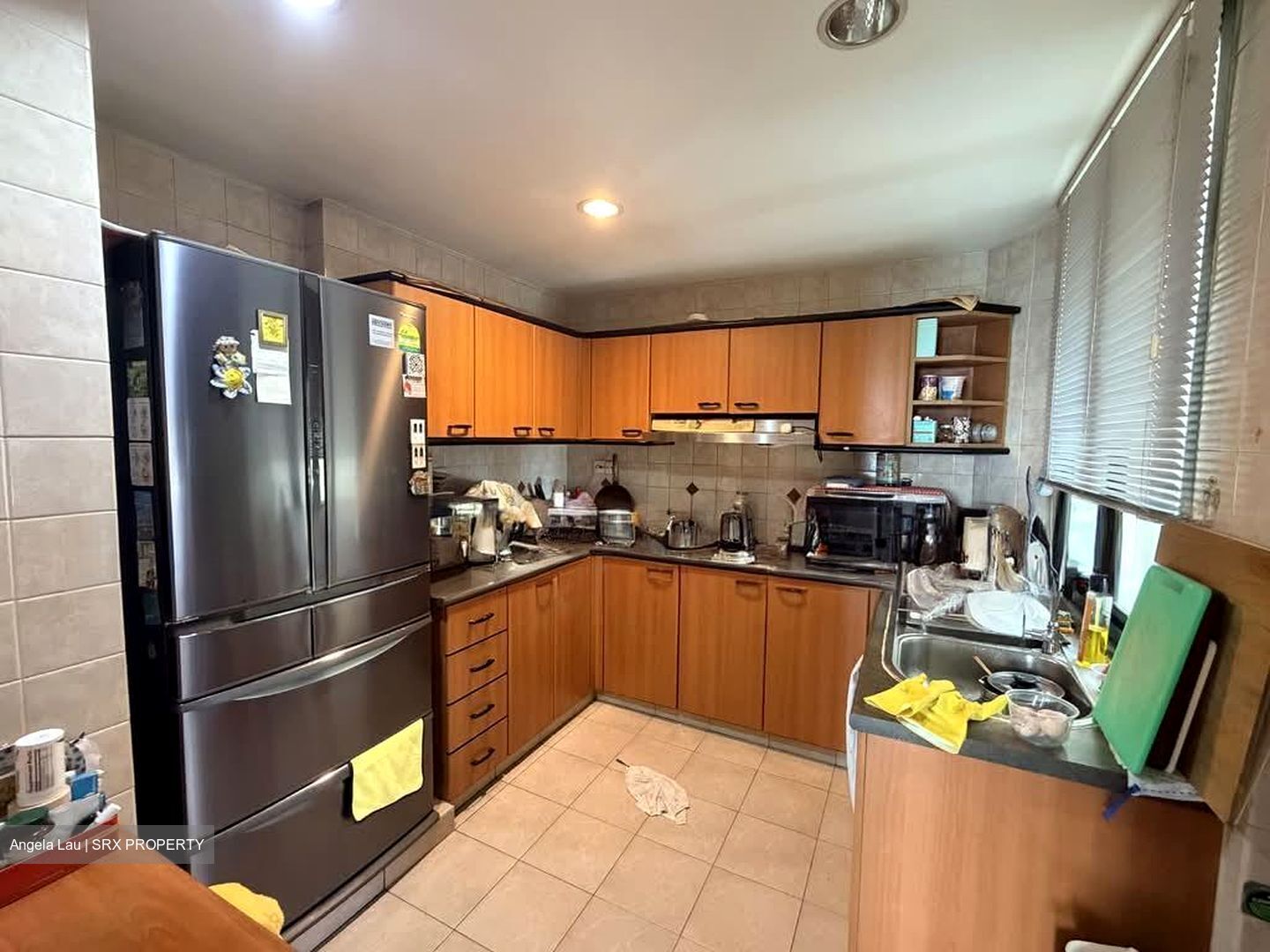 Simsville (D14), Condominium #552498721